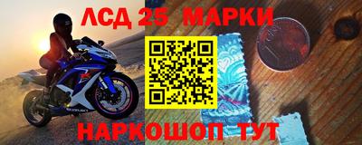 прущие грибы Кулебаки