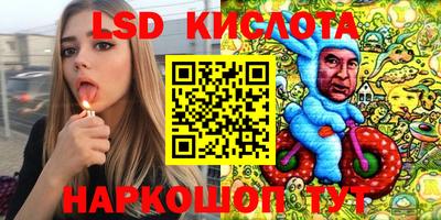 стаф Краснодар