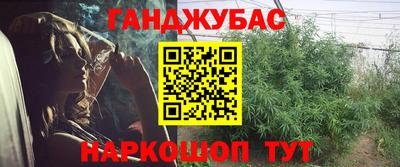 стаф Краснодар