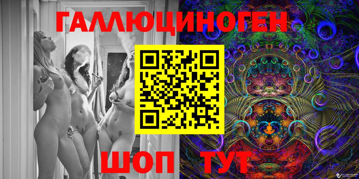 Галлюциногенные грибы Psilocybe Калуга