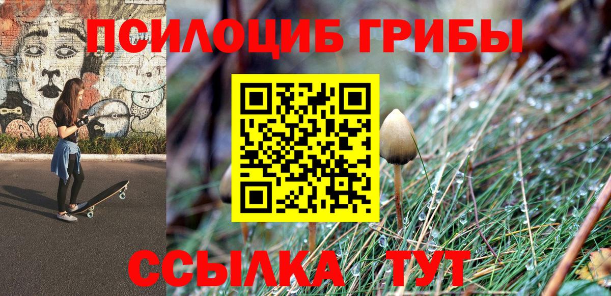 Псилоцибиновые грибы Psilocybe  Вход с VPN  Псилоцибиновые грибы Magic Shrooms  Калуга 